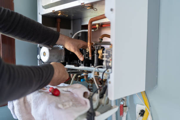 Best Clogged Drain Plumber  in Springfield, MN